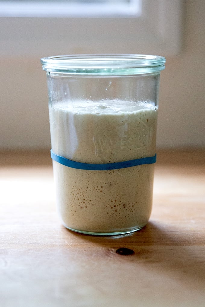 Active sourdough starter in a glass jar